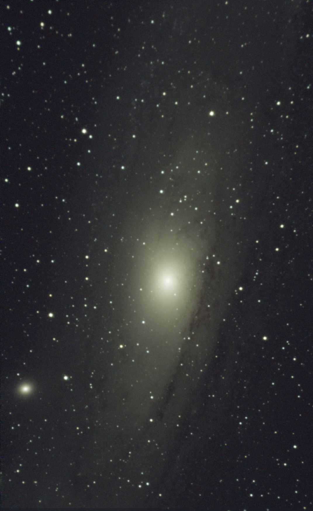 M31