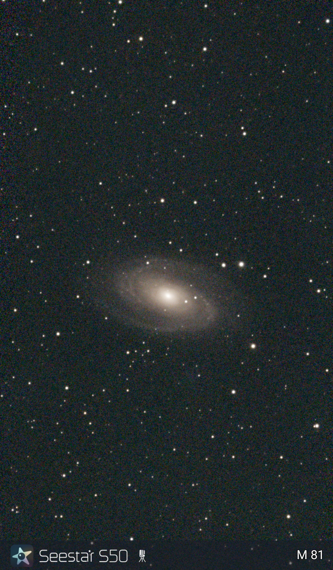 M45